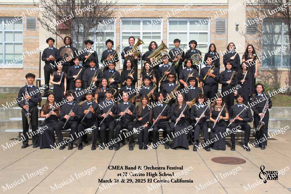 Musical Images